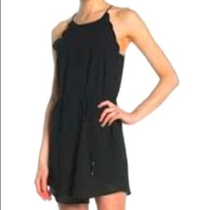 Naked Zebra little black dress